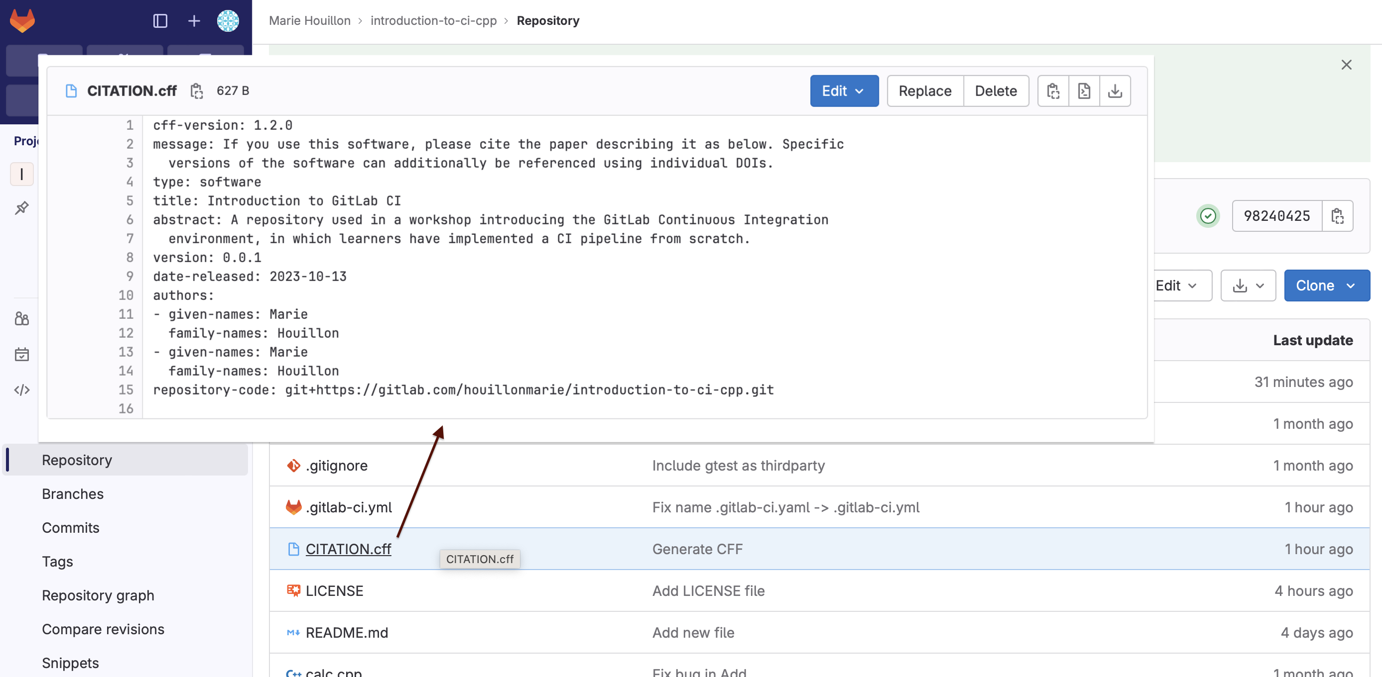 CITATION.cff generated in repository
